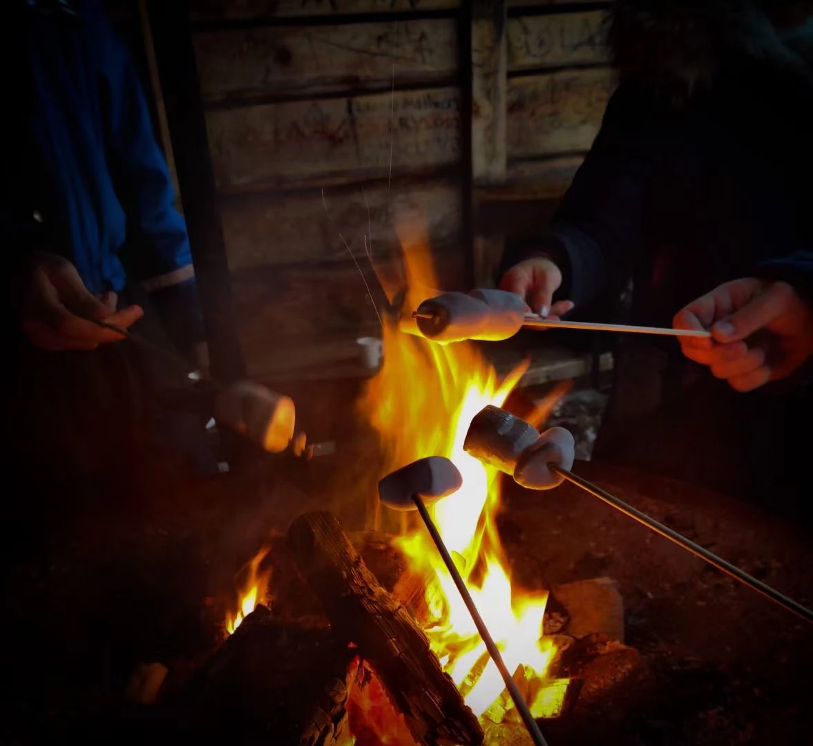 Hands holding marshmallows over a shared fire in Finland