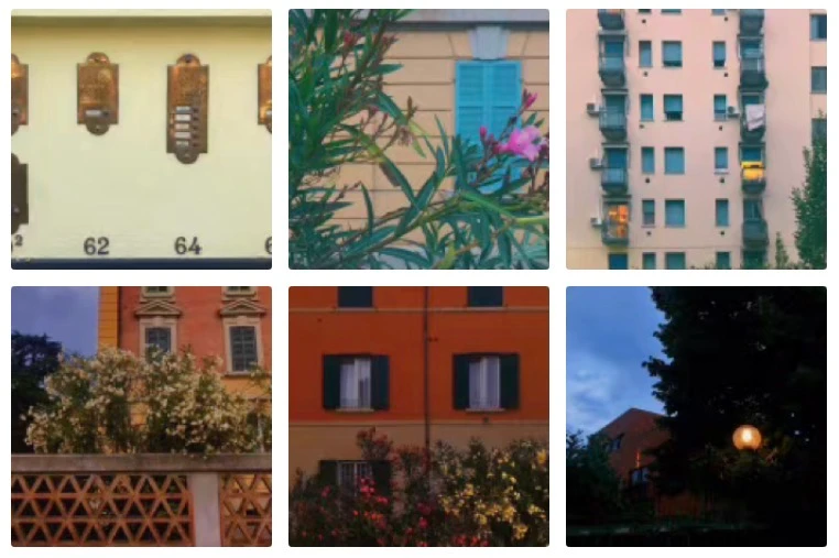 Complete six-photo collection of colorful facades, flowers and evening light