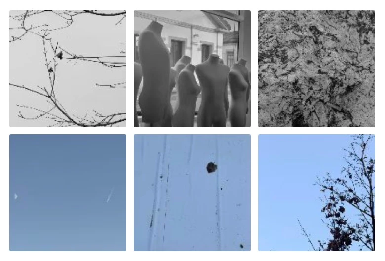 Complete six-photo collection, monochrome above and pale blue below