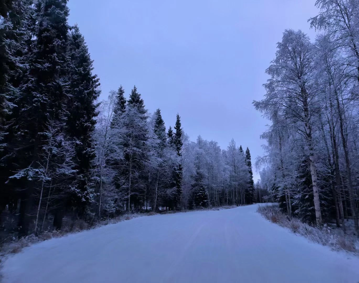 A snow-covered path between winter trees in Finland